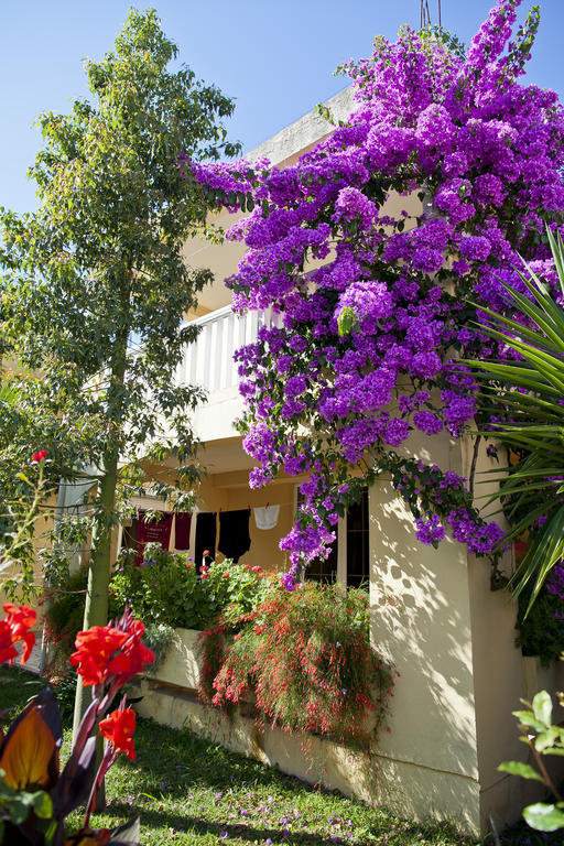 Apartments Angela Budua Esterno foto